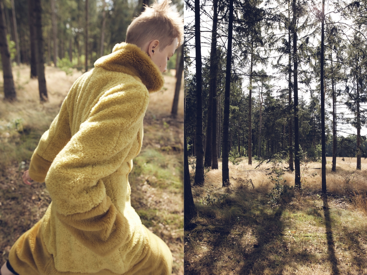 coat forest trees model