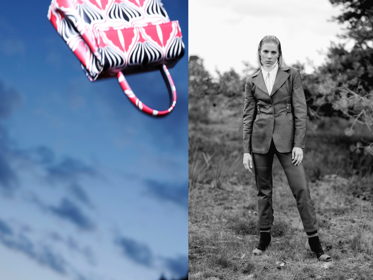 bag sky model