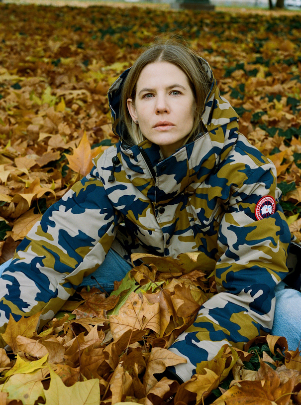 Canada Goose Camouflage brown leaves photo