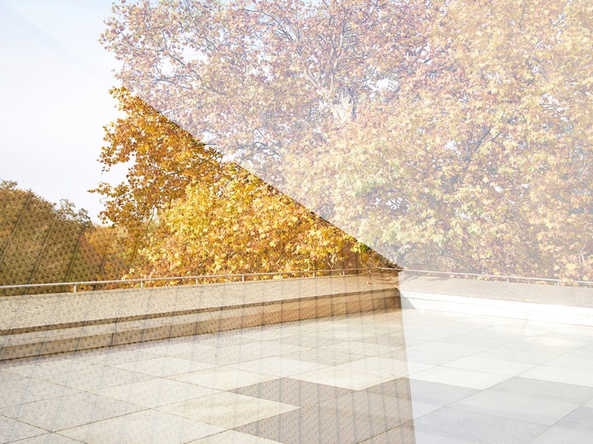 Herbst in Berlin yellow leaves Photography