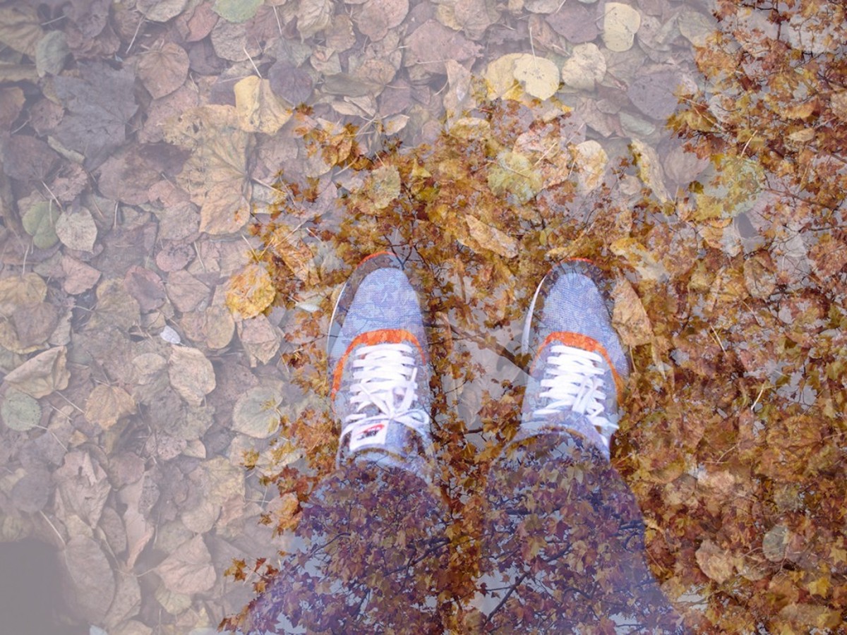 herbst in berlin brown leaves shoes