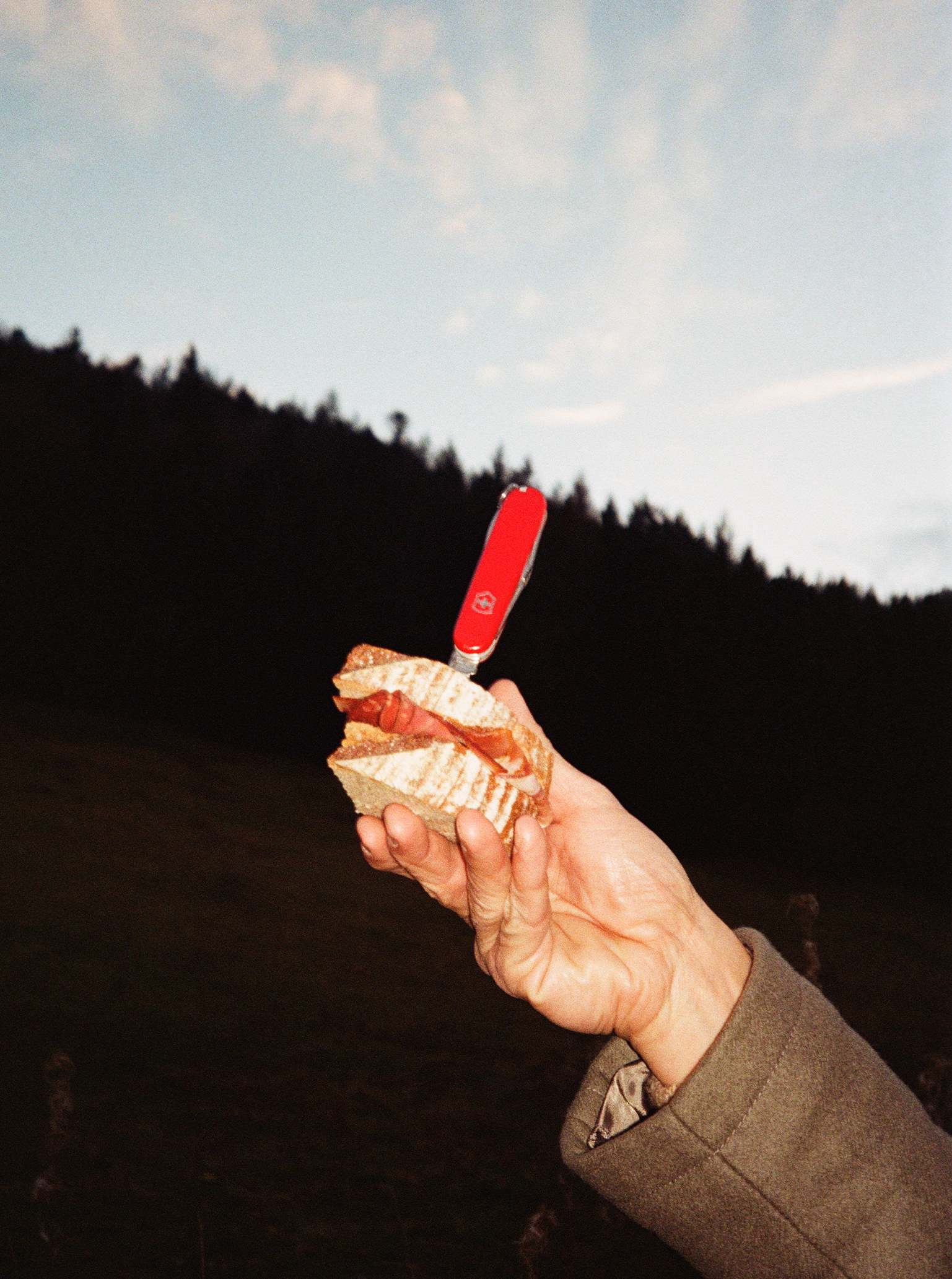 Polaroid Wanderung SChwarzwald Victorinox Messer Schinkenbrot