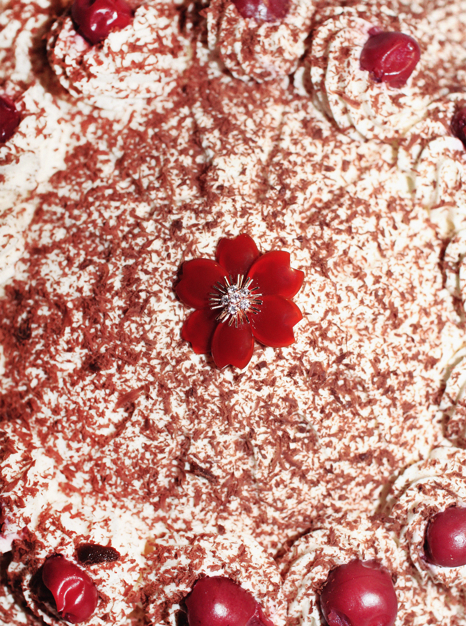 Schwarzwälder Kirschtorte Rezept Zubereitung SChwarzwälder Kirschtorte Rezept Zubereitung