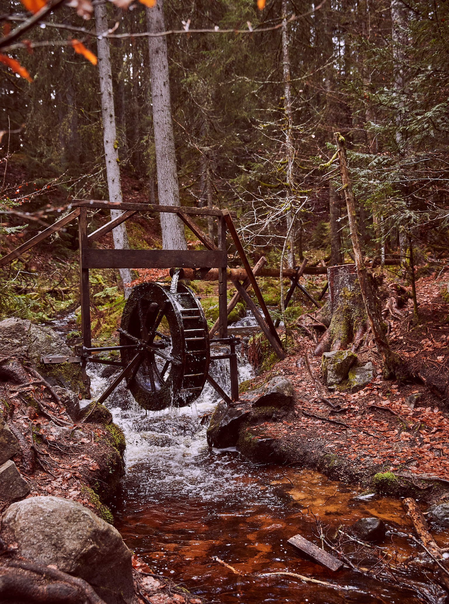 When I went fishing in the black forest Hemingway Reisereportage wasserrad fishing in the balck forest wild water