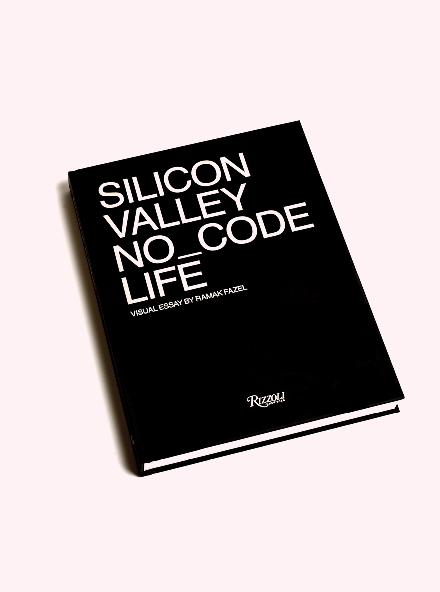 Diego Della Valle Silicon Valley