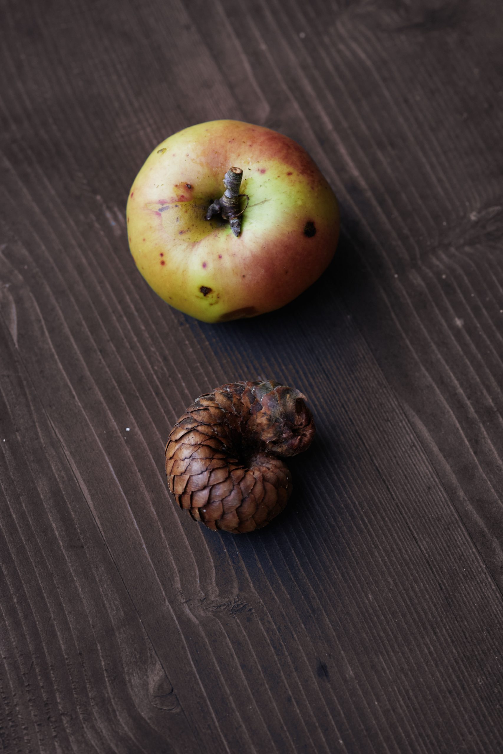 Apfel und Zapfen