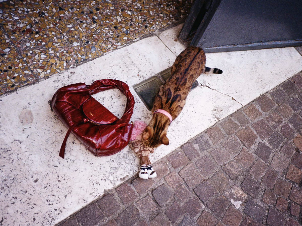 Fendi Spy Small bag FENDI