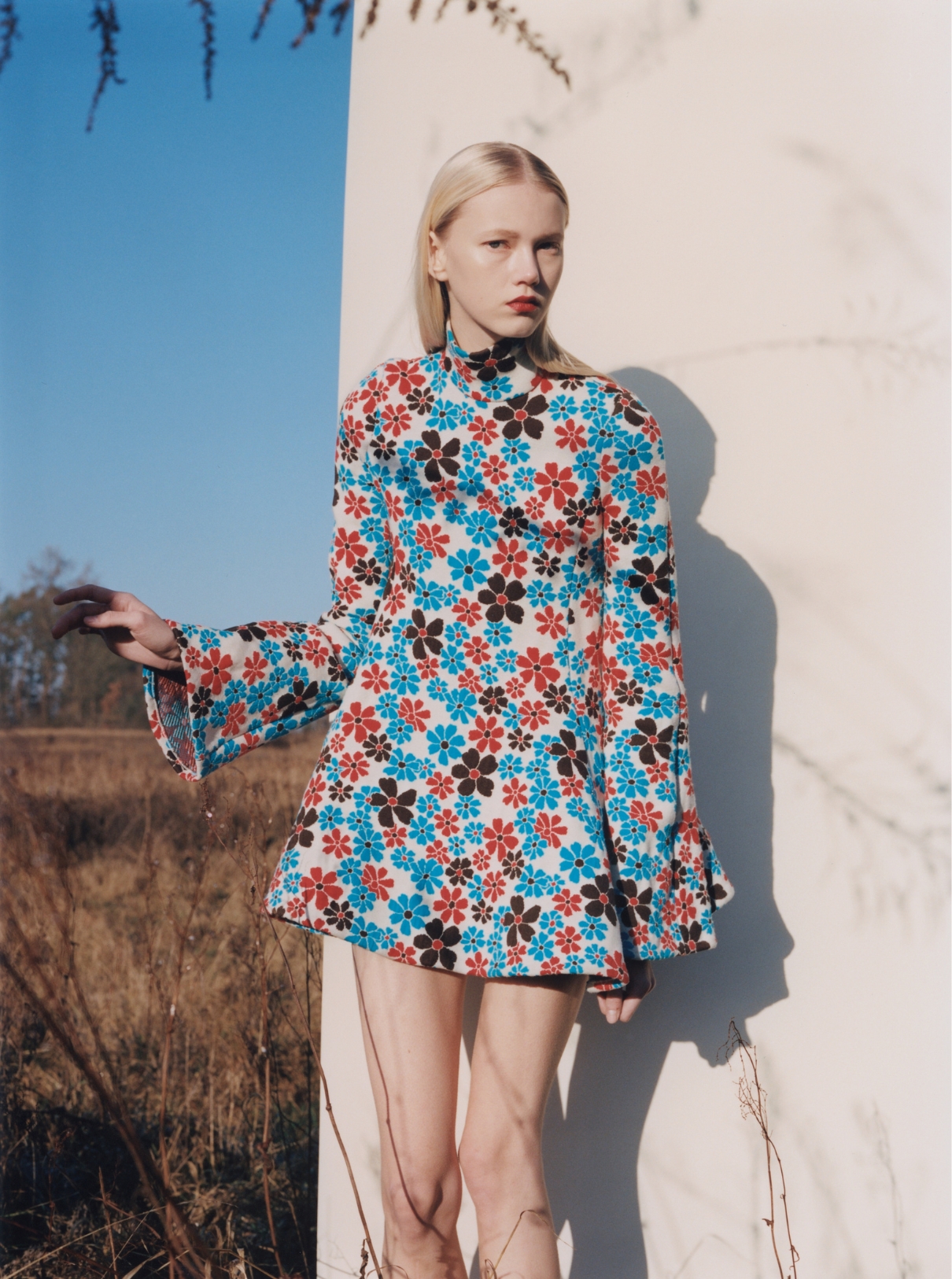 Malin Rudnick wearing a dress by CELINE